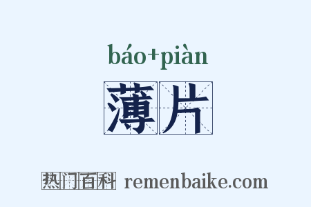 薄片是什么意思的图片